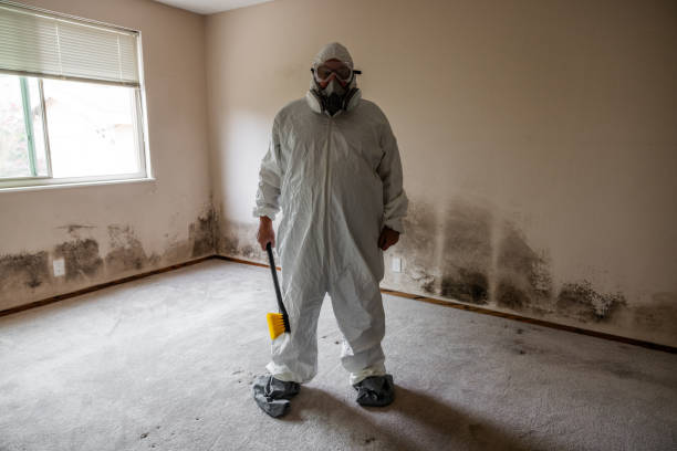 Best Post-Flood Mold Remediation in Five Forks, SC